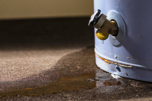 Best Water damage contractors near me  in Bay City, OR