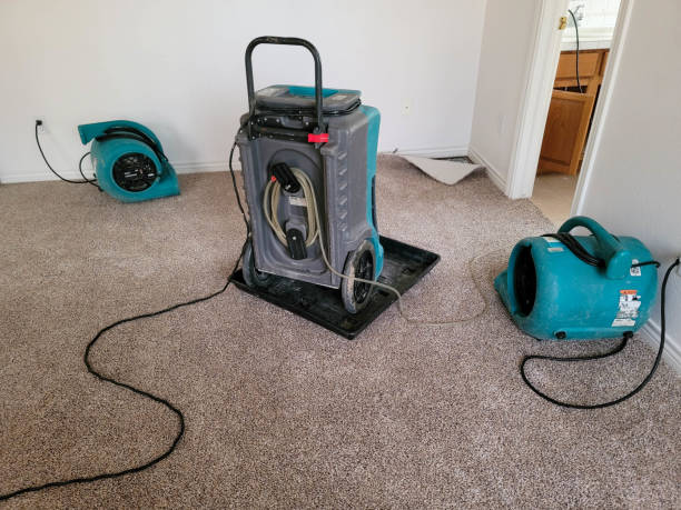 Best Mold removal after water damage  in Bay City, OR