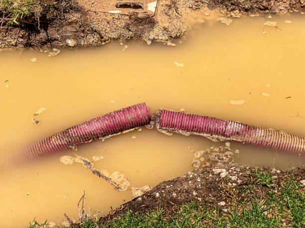 Professional Water damage restoration in Bay City, OR